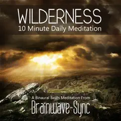 Wilderness - A 10 Minute Daily Meditation - Single by Brainwave-Sync album reviews, ratings, credits