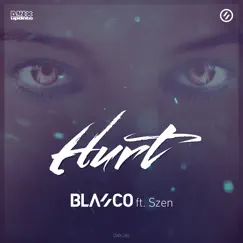 Hurt (feat. Szen) [Extended Mix] Song Lyrics