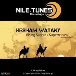 Rising Sahara / Supernatural - Single by Hesham Watany album reviews, ratings, credits
