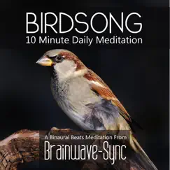 Birdsong (Birds) Song Lyrics