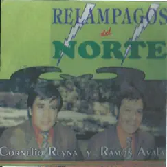 Los Relampagos del Norte - Puro Oro by Cornelio Reyna & Ramón Ayala album reviews, ratings, credits