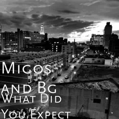 What Did You Expect - Single by Migos & B.G. album reviews, ratings, credits