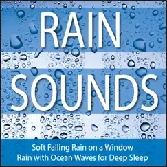 Rain Sounds: Soft Falling Rain On a Window, Rain With Ocean Waves for Deep Sleep by Robbins Island Music Group album reviews, ratings, credits
