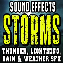 Distant Thunder, Soothing Light Rain, Field Recording Song Lyrics