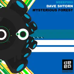 Mysterious Forest (Sensetive5 Remix) Song Lyrics