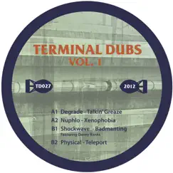 Terminal Dubs, Vol. 1 - EP by Various Artists album reviews, ratings, credits