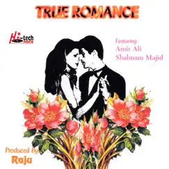 True Romance - Single by Shabnam Majid & Amir Ali album reviews, ratings, credits
