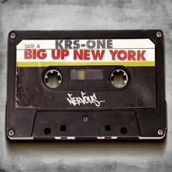 Big Up New York (Jaguar Skills Remix) Song Lyrics