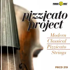 Pizzicato Project by Alessandro Forti, Francesco de Luca, Carlos Zarattini & Stefano Barzan album reviews, ratings, credits