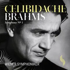 Brahms: Symphony No. 1 by Vienna Symphony & Sergiu Celibidache album reviews, ratings, credits