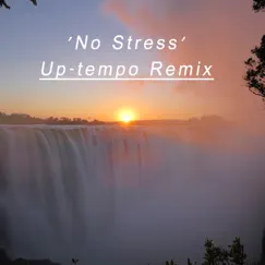 No Stress (Up-Tempo Remix) - Single by Paul Hardcastle album reviews, ratings, credits