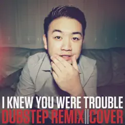 I Knew You Were Trouble (Dubstep Remix) Song Lyrics