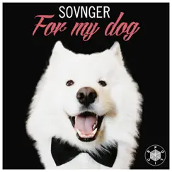 For My Dog - Single by Sovnger album reviews, ratings, credits