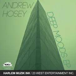 Deep Moods - Single by Andrew Hosey album reviews, ratings, credits