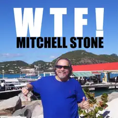 W T F ! by Mitchell Stone album reviews, ratings, credits