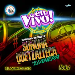Mix Llanero de Merengues 3: Vivir Mi Vida / Dame Tu Bb Pin (En Vivo) Song Lyrics