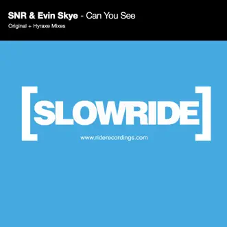 Can You See - Single by SNR & Evin Skye album download