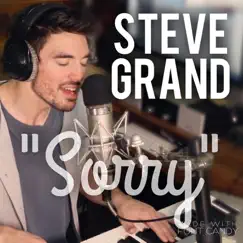 Sorry - Single by Steve Grand album reviews, ratings, credits