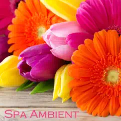 Spa Ambient - Relaxing Zen Spa Music & Background Instrumental Music for Spa Resorts, Spa Massage and Relaxation by Serenity Spa Music Relaxation album reviews, ratings, credits