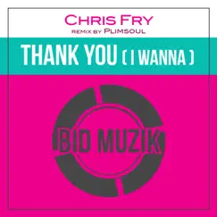 Thank You (I Wanna) [Remixes] - Single by Chris Fry album reviews, ratings, credits