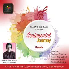 Sentimental Journey by Various Artists album reviews, ratings, credits