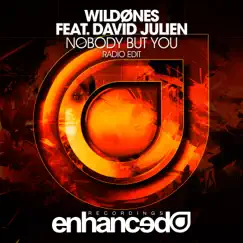 Nobody but You (feat. David Julien) Song Lyrics