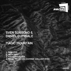 Magic Mountain (Dominik Vaillant Remix) Song Lyrics