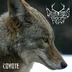 Coyote - Single by Carnivorous Forest album reviews, ratings, credits