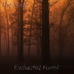 Enchanted Forest Song Lyrics