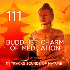 Asian Zen Music for Affirm Meditation Song Lyrics