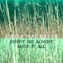 Didn't We Almost Have It All - Single by Sugar Mae Baker album reviews, ratings, credits