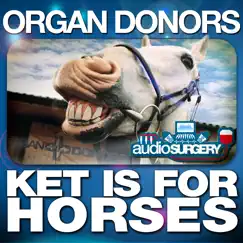Ket Is for Horses - Single by Organ Donors album reviews, ratings, credits