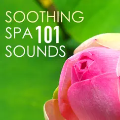 Soothing Spa Sounds 101 - Serenity Massage Background Music for Healing Moments, Tribe Songs by Soothing Music Ensamble album reviews, ratings, credits