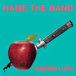Summer Lush by Name The Band album reviews, ratings, credits
