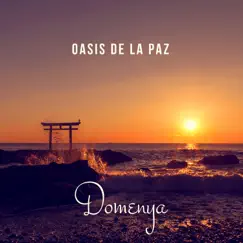 Oasis de la Paz: Ruido Blanco para Sanar el Alma, Olas del Mar, Celestial voz para la Meditación y Relajación by Domenya album reviews, ratings, credits