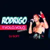Y Voló Voló (Remix) - Single album lyrics, reviews, download