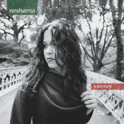Niggun Neshama Song Lyrics