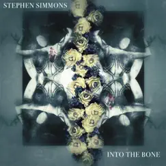 Into the Bone - Single by Stephen Simmons album reviews, ratings, credits