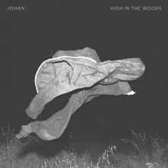 High in the Woods - Single by Johan album reviews, ratings, credits