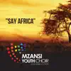 Say Africa - Single album lyrics, reviews, download