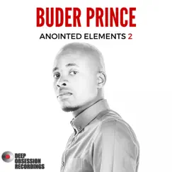 Anointed Elements 2 by Buder Prince album reviews, ratings, credits