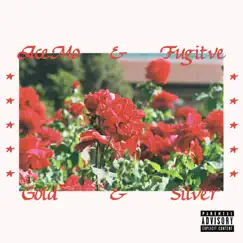 Gold & Silver - EP by AceMo & Fugitive album reviews, ratings, credits