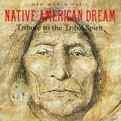 Native American Dream by Various Artists album reviews, ratings, credits