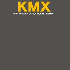 Wat U Mean (Aye, Aye, Aye) [Remix] Song Lyrics