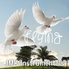 Flying (Acoustic Guitar No Drums Pop Type) - Single by JMK Instrumentals album reviews, ratings, credits