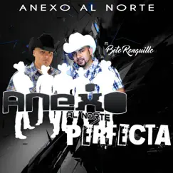 Perfecta (feat. Beto Ronquillo) Song Lyrics