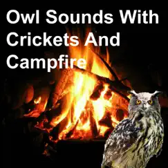 Owl Sounds with Crickets and Campfire - Single by Owl Sounds Recordings album reviews, ratings, credits
