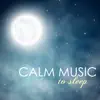Calm Music to Sleep - 2016 Best Songs to Relax and to Help You Sleep at Night album lyrics, reviews, download
