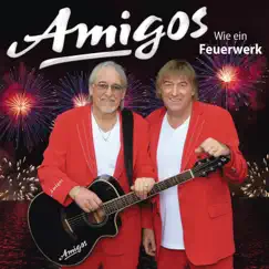 Wie ein Feuerwerk by Amigos album reviews, ratings, credits