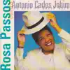 Rosa Passos Canta Antônio Carlos Jobim - 40 Anos de Bossa Nova album lyrics, reviews, download